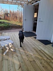 Onnela Homestay Sauna Cottage