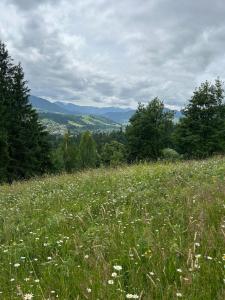 Woodvel Верховина Котедж