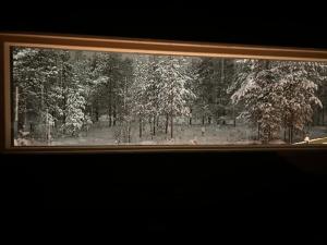 Arctic circle cabin 2