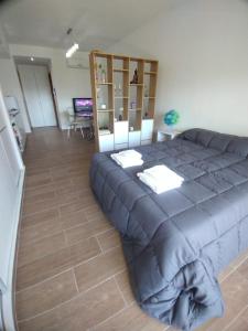 Monoambiente a estrenar con Balcón