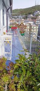 Alta Quota RELAX on the SEA