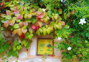 Olive Lemon Biophilic House & Lush Forest Garden