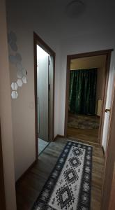 Apartament Central Podu Ros