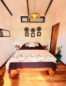 Tropical Getaway JUNGLE BLISS from the Jungle to the Beach