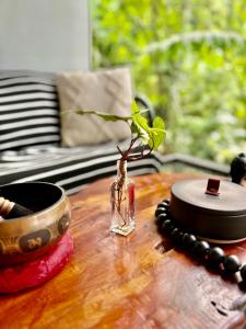 Tropical Getaway JUNGLE BLISS from the Jungle to the Beach