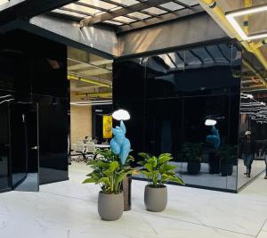 Homely3Aparta suitesParque de la 93