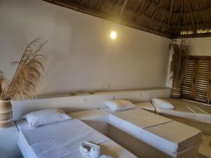 Hostal nido tortuga