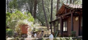 Cabañas Tapalpa Sierra del Tecuan, Cabaña Conejo