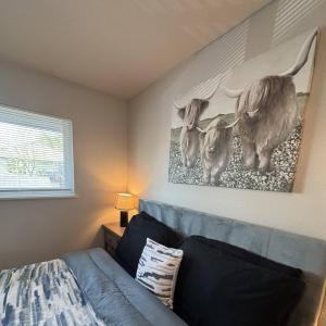 1 DT Dallas l FIFA WORLD CUP READY l 5 Min from Love Field