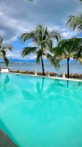 Luxury Oceanfront Penthouse Narval Norte