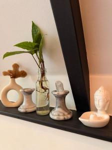 Tropical Getaway Caribbean Moon, from the Jungle to the Beach