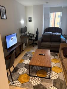 Modern Luxury Studio