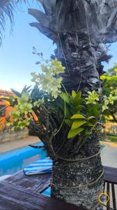 Búzios - Casa da Marina Navegável Rio de Janeiro Brazil