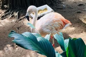 Prime Stay Boqueirão