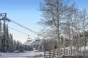 Slope-side Studio Dog Friendly Full Kitchen