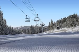 Slope-side Studio Dog Friendly Full Kitchen