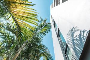 市中心宁曼的套房公寓泳池健身房停车场Downtown swimming pool, gym, and parking lot