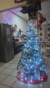 Alme Hostel Playa del Carmen