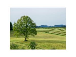 Stadelwohung Comfortable holiday residence