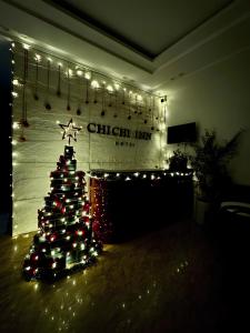 Chichi Inn Hotel CoTo