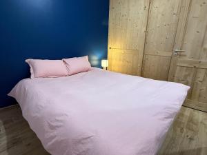 Duplex spacieux proche centre - Animaux admis - FR-1-464-259