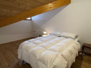 Duplex spacieux proche centre - Animaux admis - FR-1-464-259