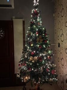 Infinit Home Duplex entero