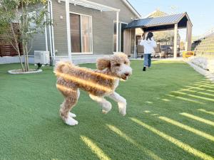 VILLA BLUEOCEAN AWAJIYA SOUTHヴィラブルーオーシャン淡路屋south