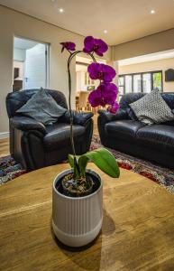 Winelands Family Paradise