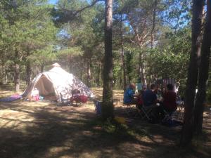 Campings Camping l'Avelanede : photos des chambres