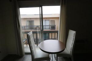 Affordable 1 Queed bed Apartment in Beverly Hills