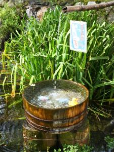 9stay 富士河口湖