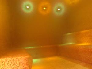 EXIGEHOME-Large houseboat with spa near Paris