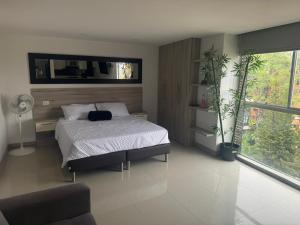 Poblado Nuevo Aviso AApartasuite familiar hasta 6 personas MedalloHost