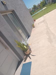 Casa Tierra de Sueños 3 Roldan