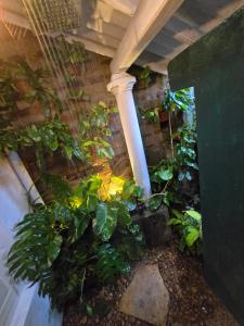 Sudu Colonial House 1929