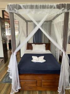 sun mount adams peak