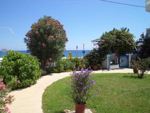 Antonios Apartments Stegna Rhodes Greece