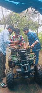 CALVARY MOUNT WiLD HOMES