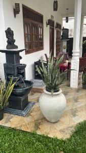 Villa Ashen