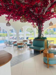 Celestial Negombo Premium Resort Pool View Apartments