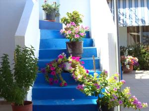 Antonios Apartments Stegna Rhodes Greece