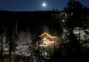 Bawli Treehouse Duplex, Jibhi