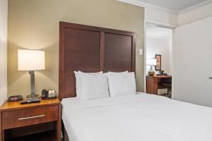 Comfort Inn Santa Cruz North