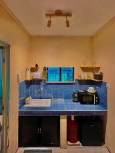 Palm Haven w Starlink