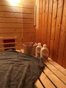 Apartment mit Sauna und Terrasse