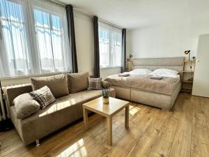 Smarty Choice Living with FREE PARKING - Vondroušova