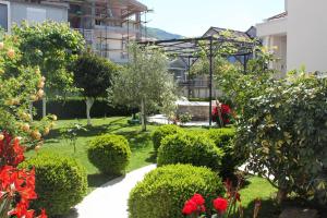 Apartment Golubović