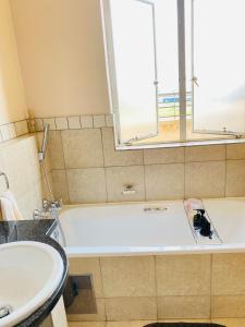 Mapungubwe hotel cozy stay