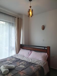 Tsavo Stanley kiambu Road